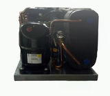 1.5hp Hermetic Compressor Condenser Unit Explosion Proof Black Color 1 Year Warranty