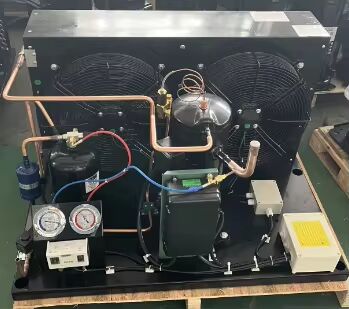 アレクサンダー・トーリー