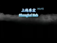 コープランド 3HP 空冷式冷蔵庫用凝縮ユニット 380V50HZ