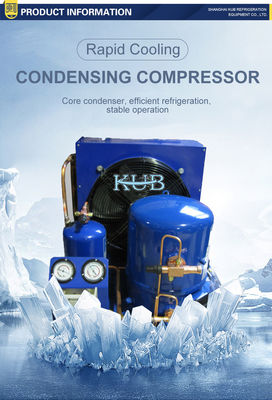 3HP R22 Hermetic Condensing Unit 380V for Cold Storage