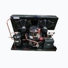 TFHT2511ZBR 380V 3hp R404A Cooler Condensing Unit Semi Hermetic