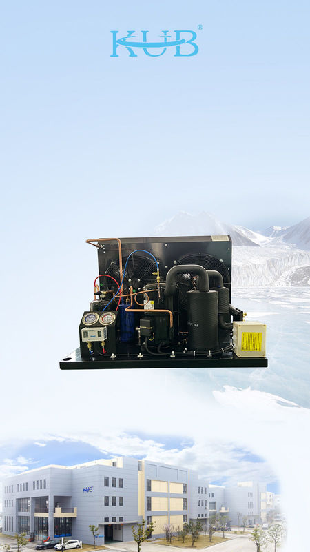 TAG2516Z テカムセーコンプレッサー 冷蔵庫 冷凍庫 r404a冷凍庫の散歩用冷凍庫