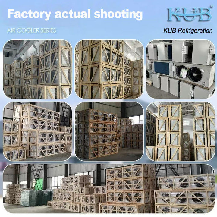 DLシリーズ DL22ユニットクーラー CE認証 オーダーメイドエアクーラー 3HP冷蔵庫蒸発器 天井蒸発器 倉庫冷蔵庫 冷蔵室 野菜冷蔵庫