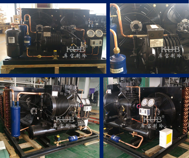 BFS51 信頼性のある冷室 半密封式圧縮機 凝縮装置 冷蔵庫 冷蔵装置 操作が簡単