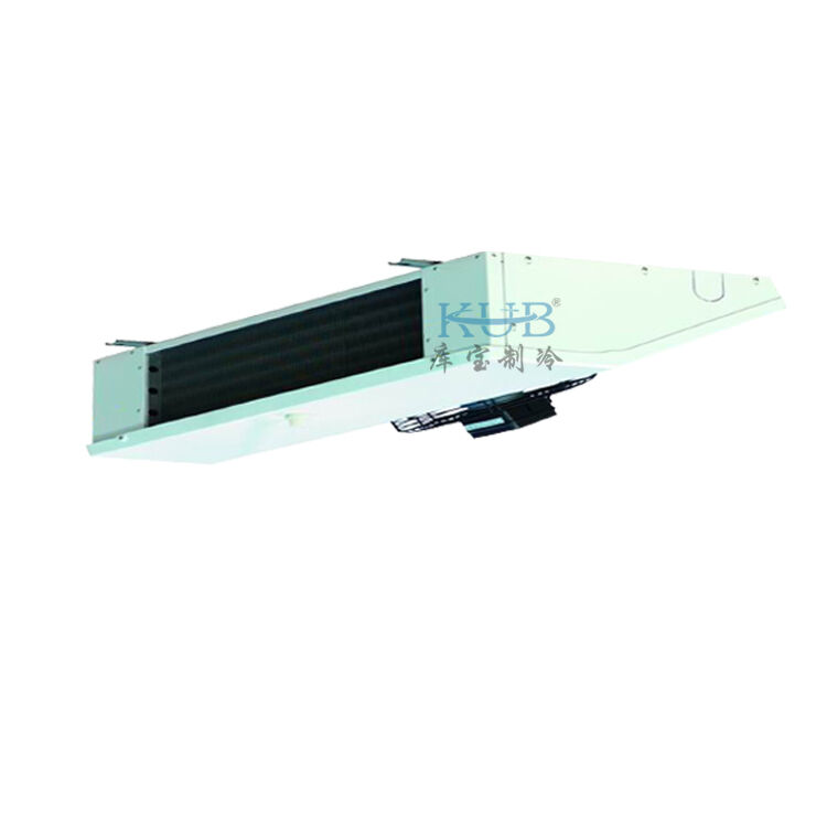 DFB061D 3HP ブリーズ空気蒸発冷却器 価格と屋根に設置されたワイン果物保管のためのアルコーティング付き蒸発冷却器