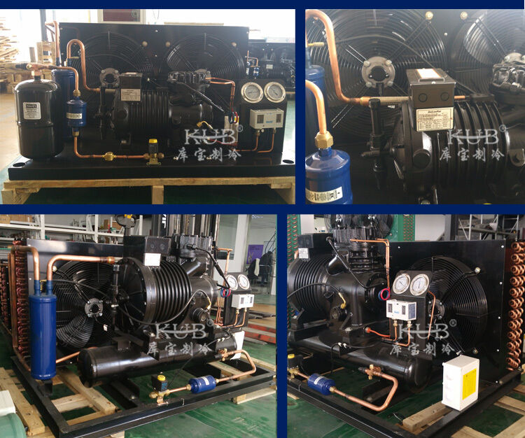 BFS81 信頼性の高い冷室 半密封式圧縮機 凝縮装置 冷蔵庫 冷蔵装置 操作が簡単