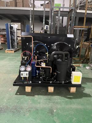 TAG2516Z 4HP Tecumseh Refrigeration Condensing Unit 380V